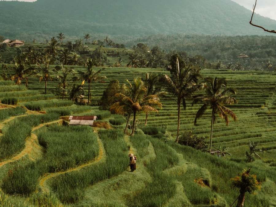 East Bali