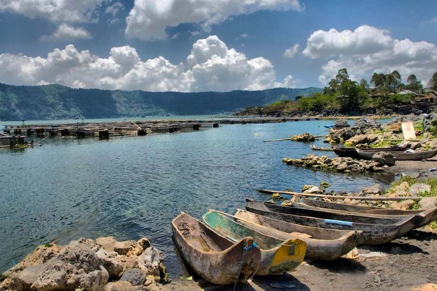 Kintamani & Hidden Canyon Tour