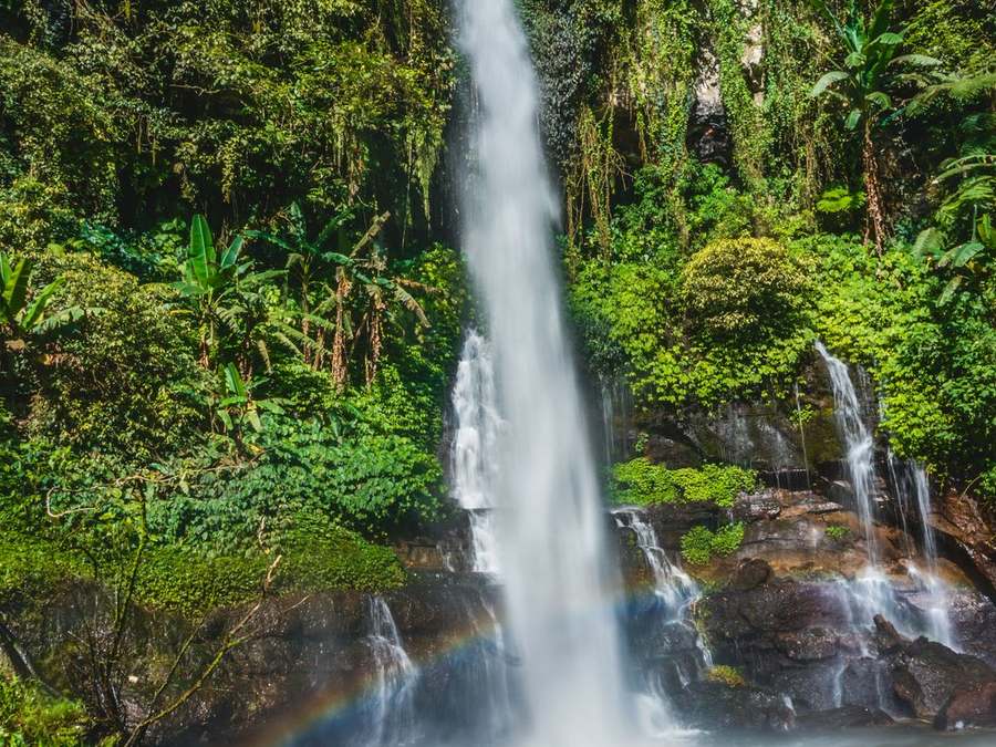 Sacred Pearls of Bali