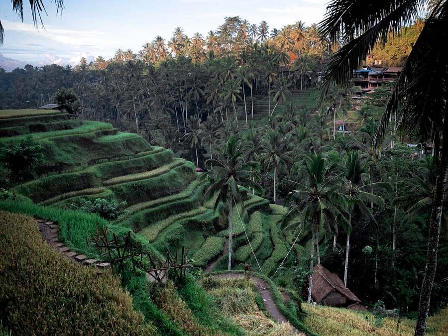 Waterfalls Tour
