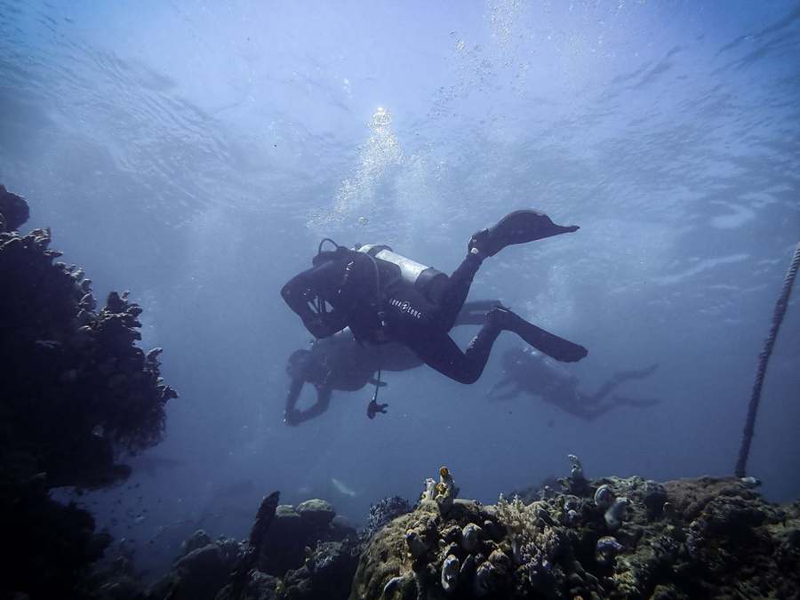 Sulawesi Islands & Highlands