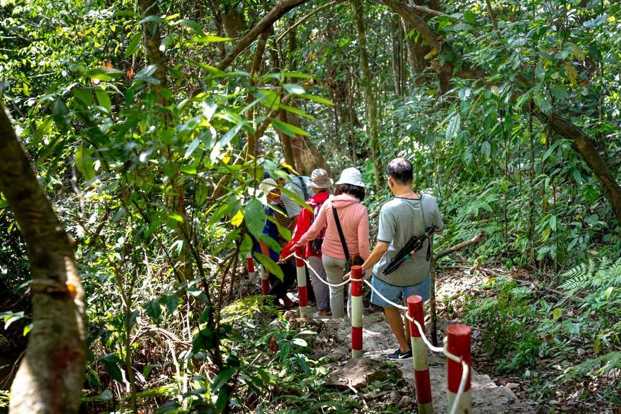Group Tours